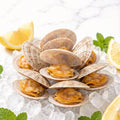 Coquina clams on ice with lemon